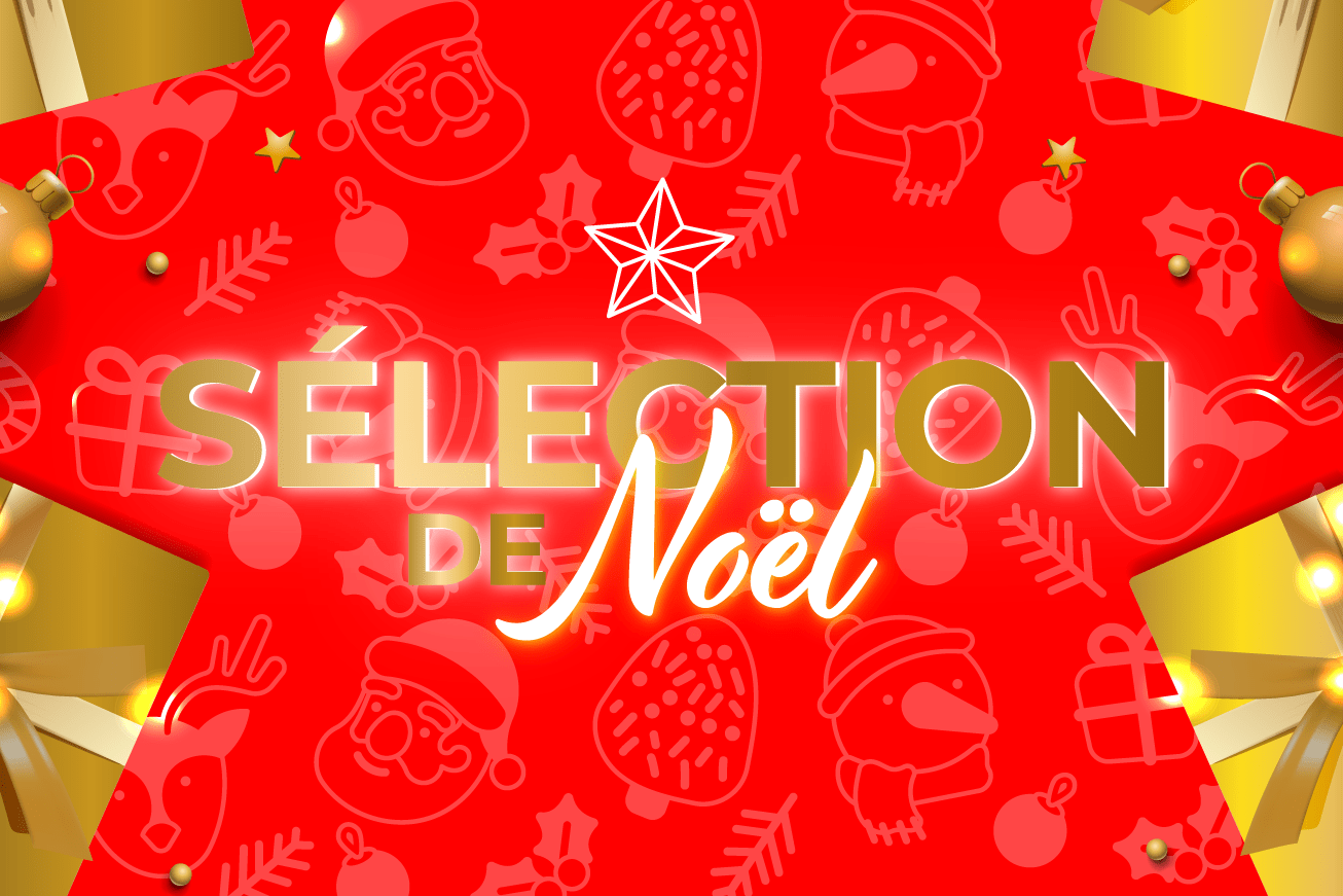 You are currently viewing Sélection de Noël de Probois Machinoutils – Promos et idées cadeaux !