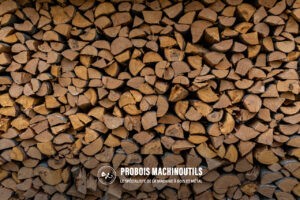Lire la suite à propos de l’article Préparer son bois de chauffage pour l’hiver : nos conseils et équipements indispensables​